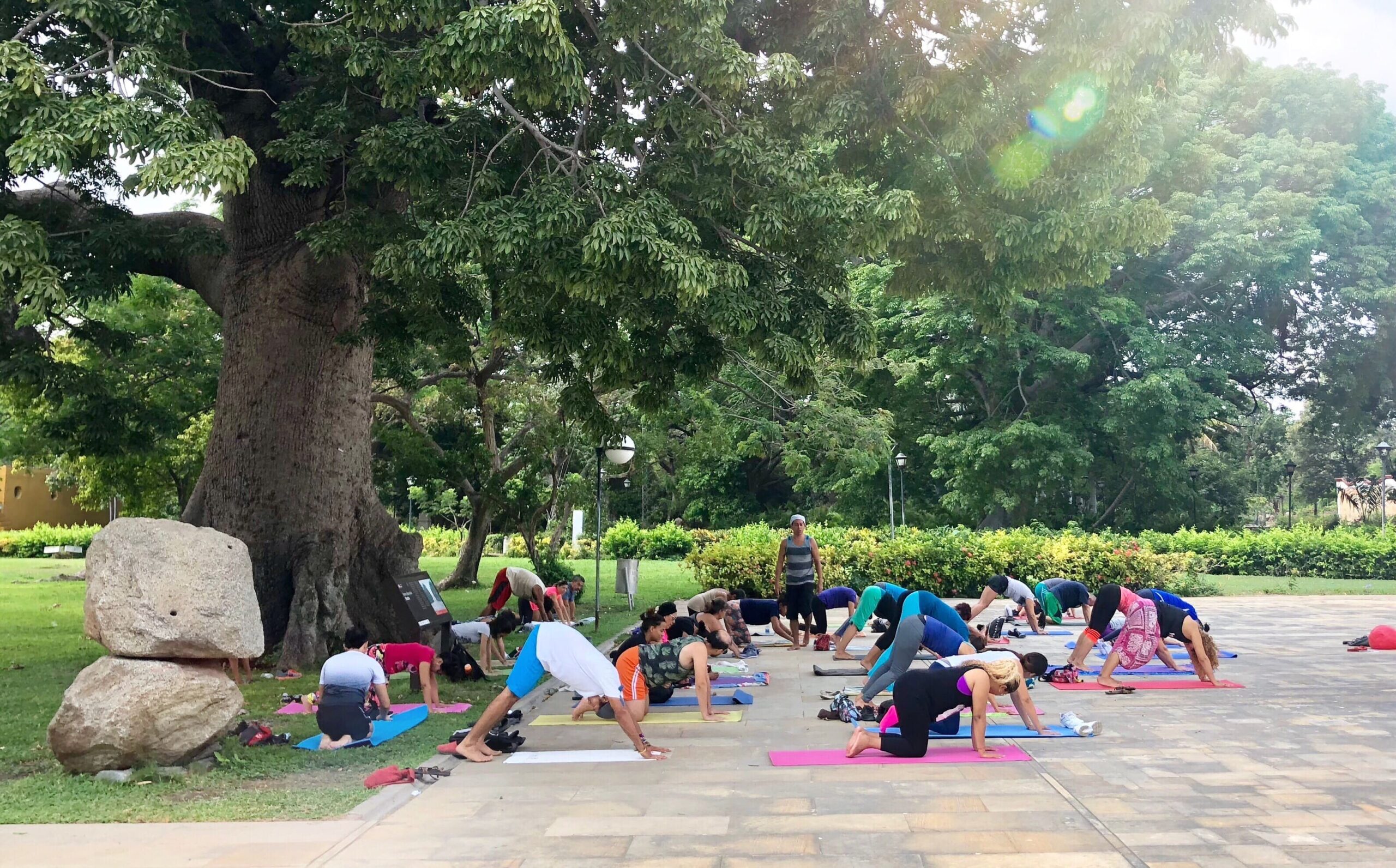 Group Of People At An Outdoor Yoga Namaste Class A 2025 01 16 12 09 29 Utc